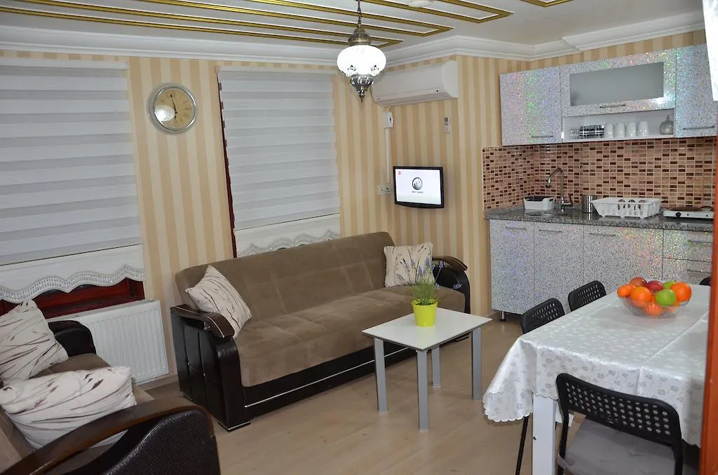 Sophia Studio Apart Hotel Стамбул 0*,  Турция